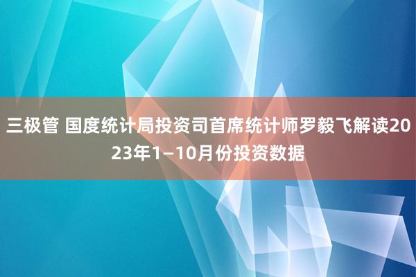 三极管 国度统计局投资司首席统计师罗毅飞解读2023年1—10月份投资数据
